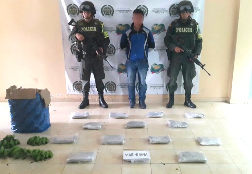 Capturado con marihuana en Mondomo - Santander de Quilichao capturado en mondomo con marihuana