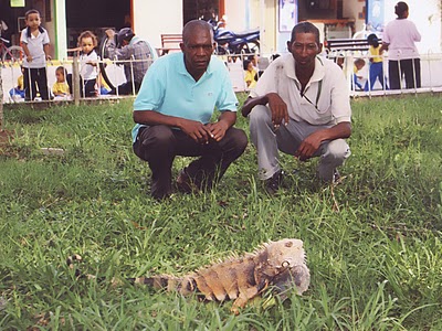 parque iguanas 2