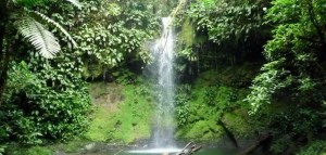 reserva-natural-cauca-1078x516
