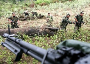 Farc Combates entre Ejército y Farc en el Cauca