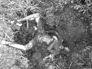 Hallan cuerpo incinerado de un hombre en la vía a Corinto Hallan cuerpo incinerado de un hombre en Corinto