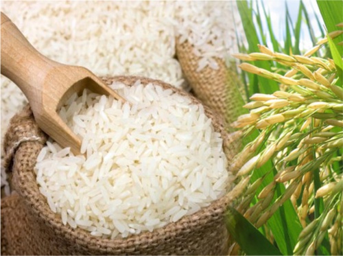 Arroz O bajan los precios del arroz o hacemos que bajen - Ministerio de Agricultura
