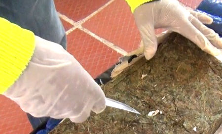 En Puerto Tejada, la Policía incautó marihuana Puerto Tejada - Incautación marihuana - Policía Cauca