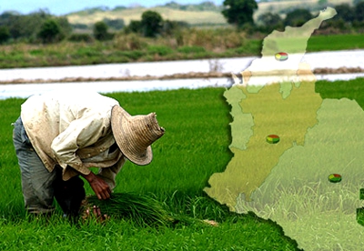 Agro colombiano Agro colombiano