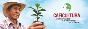 Caficultura una oportunidad en el pacto social por el Cauca Caficultura una oportunidad en el pacto social por el cauca - Miranda