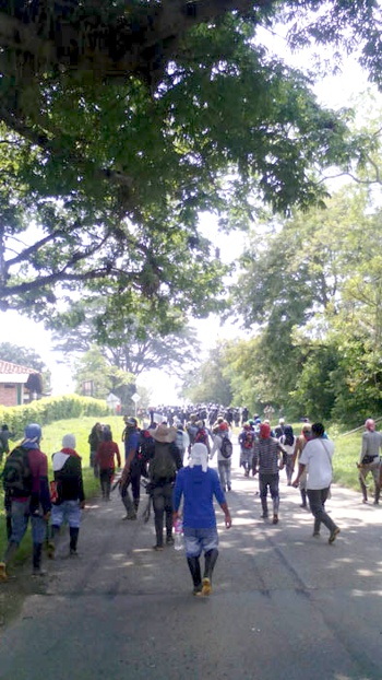 Choques entre indígenas y fuerza pública en Caloto Choques entre indígenas y fuerza pública en Caloto