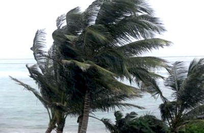 EL VIENTO ES TERSA PIEL O AZOTE EL VIENTO ES TERSA PIEL O AZOTE