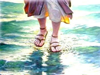 La playa - Jesús La playa - Jesús
