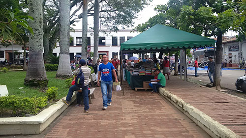 Palma e invasion parque 3