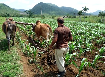 El campo colombiano El campo