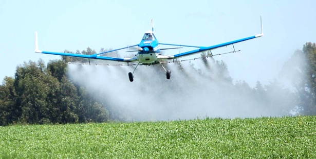 Minsalud recomendó suspender fumigaciones de cultivos ilícitos con glifosato Minsalud recomendó suspender fumigaciones de cultivos ilícitos con glifosato