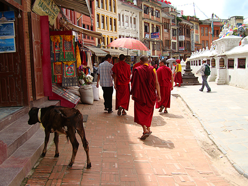 Katmandú - Nepal - Antes Nepal 37