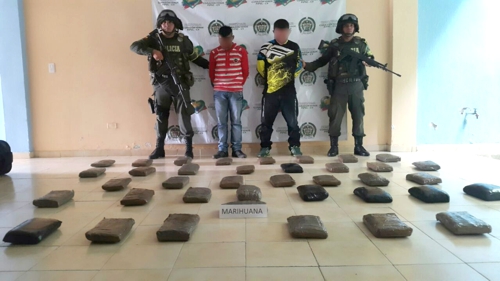 Policía incautó marihuana en Mandivá, Santander de Quilichao Policía incautó 50.000 dosis de marihuana en Mandivá, Santander de Quilichao
