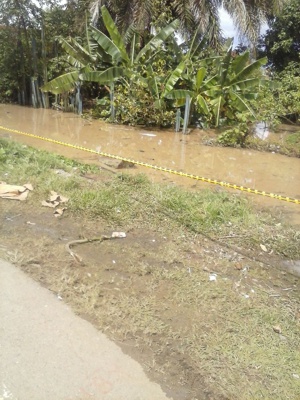 Villarrica 5