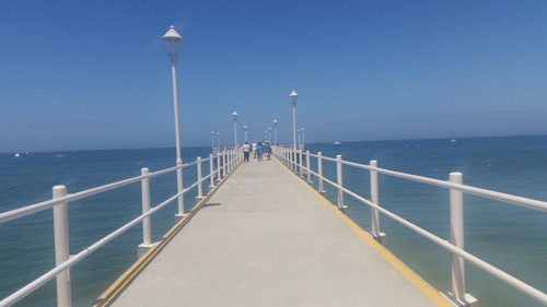 paseos paseos