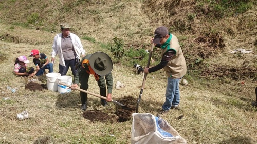 210 plántulas fueron sembradas en el humedal Las Palmas 210 plántulas fueron sembradas en el humedal Las Palmas
