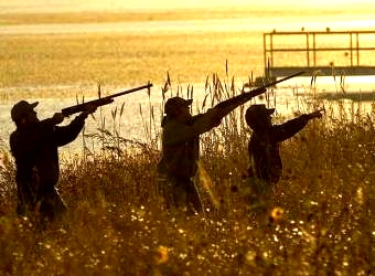 Cazadores de animales - Casanare