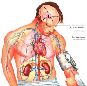 Hipertensión Hipertensión1