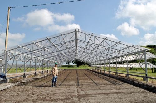 Inauguran invernaderos que impulsarán el sector arrocero en Colombia - CIAT Inauguran invernaderos que impulsarán el sector arrocero en Colombia - CIAT
