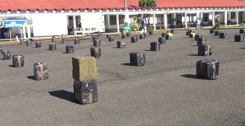 Incautan tonelada y media de marihuana en Corinto Incautan tonelada y media de marihuana en Corinto1