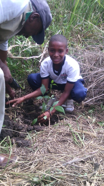 CRC celebró el Día Mundial del Medio Ambiente en el norte del Cauca CRC 1