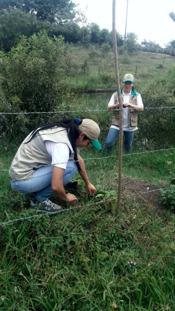 CRC celebró el Día Mundial del Medio Ambiente en el norte del Cauca CRC 2