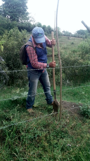 CRC celebró el Día Mundial del Medio Ambiente en el norte del Cauca CRC 3