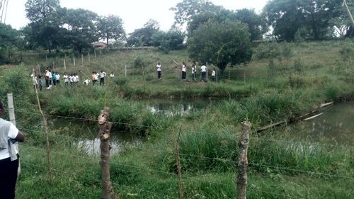 CRC celebró el Día Mundial del Medio Ambiente en el norte del Cauca CRC celebró el Día Mundial del Medio Ambiente en el norte del Cauca