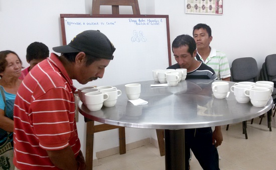 Cafés Especiales - Cafinorte - Norte del Cauca Cafés Especiales - Cafinorte - Norte del Cauca