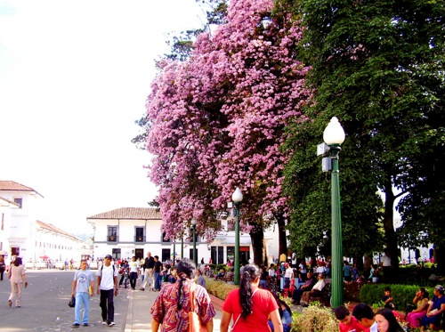 Popayán - Peatonalización - Parque Caldas Popayán - Peatonalización