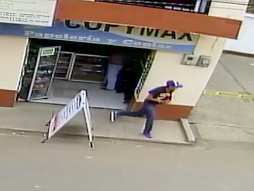 Ladrones al acecho en Santander de Quilichao, Cauca Ratas en Santander de Quilichao