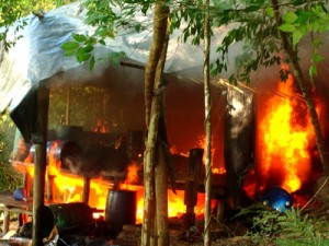 Destruyen laboratorio para procesar coca en Bolívar, Cauca