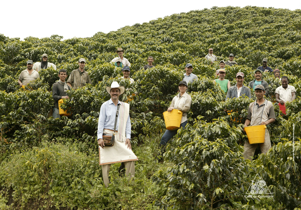 caficultores caficultores