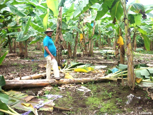 Día del Campesino en Puerto Tejada, Cauca Día del Campesino en Puerto Tejada, Cauca