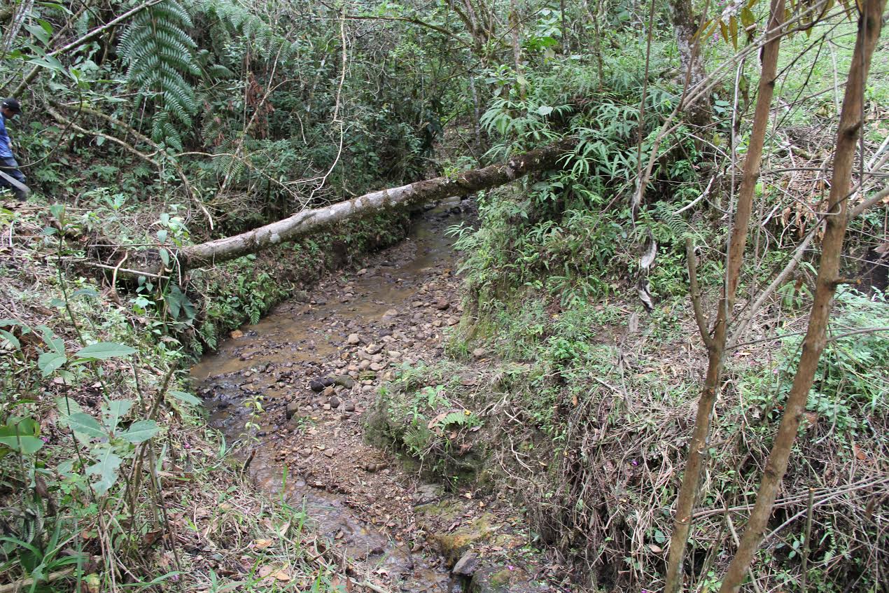 Río Molino Río Molino