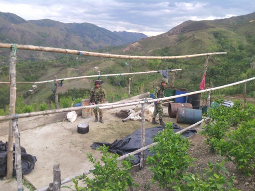 Ejército destruye cultivos ilícitos en el norte del Cauca Ejército destruye cultivos ilícitos en el norte del Cauca