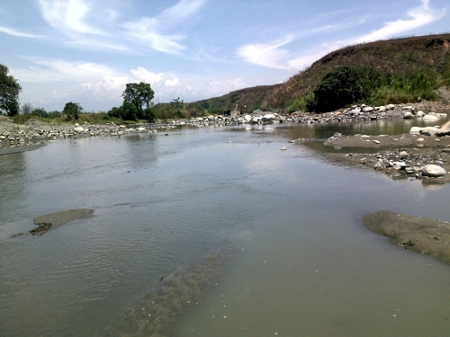 El Palo 4