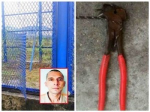 Fuga de alias 'El Desalmado' Fuga de alias 'El Desalmado'
