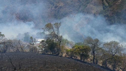 Incendio forestal 1