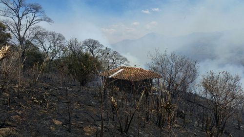 Incendio forestal 2