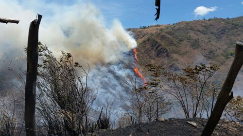 Incendio forestal 3