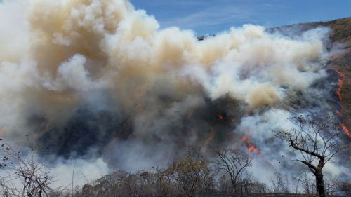 Incendio forestal 6