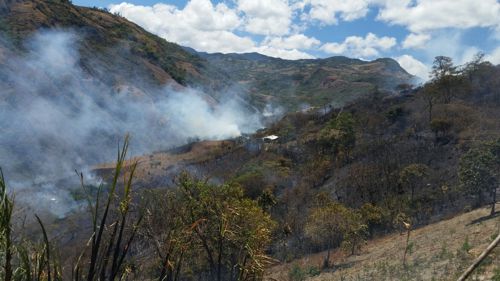 Incendio forestal 7