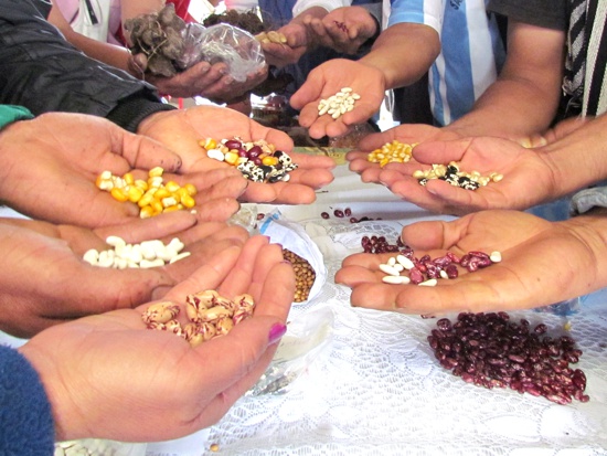 Vamos a recuperar la soberanía alimentaria del país - MinAgricultura Vamos a recuperar la soberanía alimentaria del país - MinAgricultura