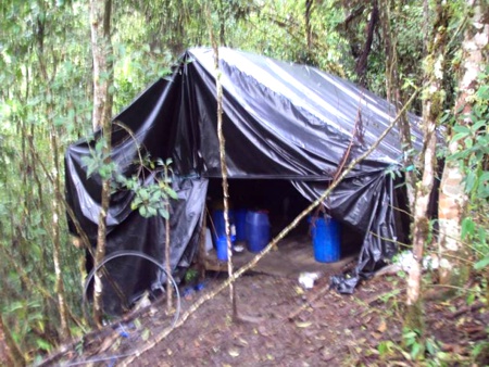 Destruyen laboratorio de procesamiento de cocaína en El Tambo Destruyen laboratorio de procesamiento de cocaína en El Tambo