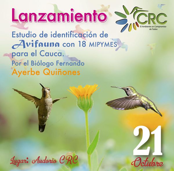 avifauna redes