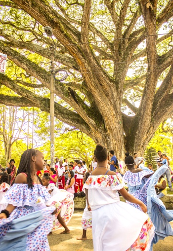 Así suena y danza el Cauca con Comfacauca - Samán Santander de Quilichao Así suena y danza el Cauca con Comfacauca4