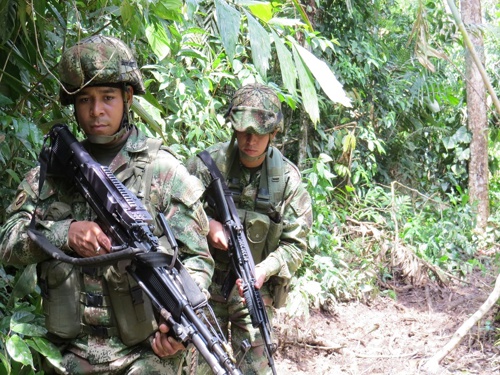 Continúa ofensiva contra el narcotráfico en el sur del país - Ejército Nacional Continúa ofensiva contra el narcotráfico en el sur del país - Ejército Nacional