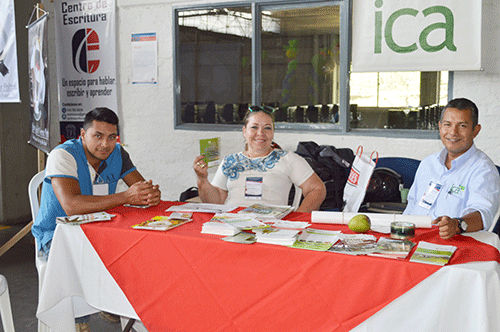 participantes participantes