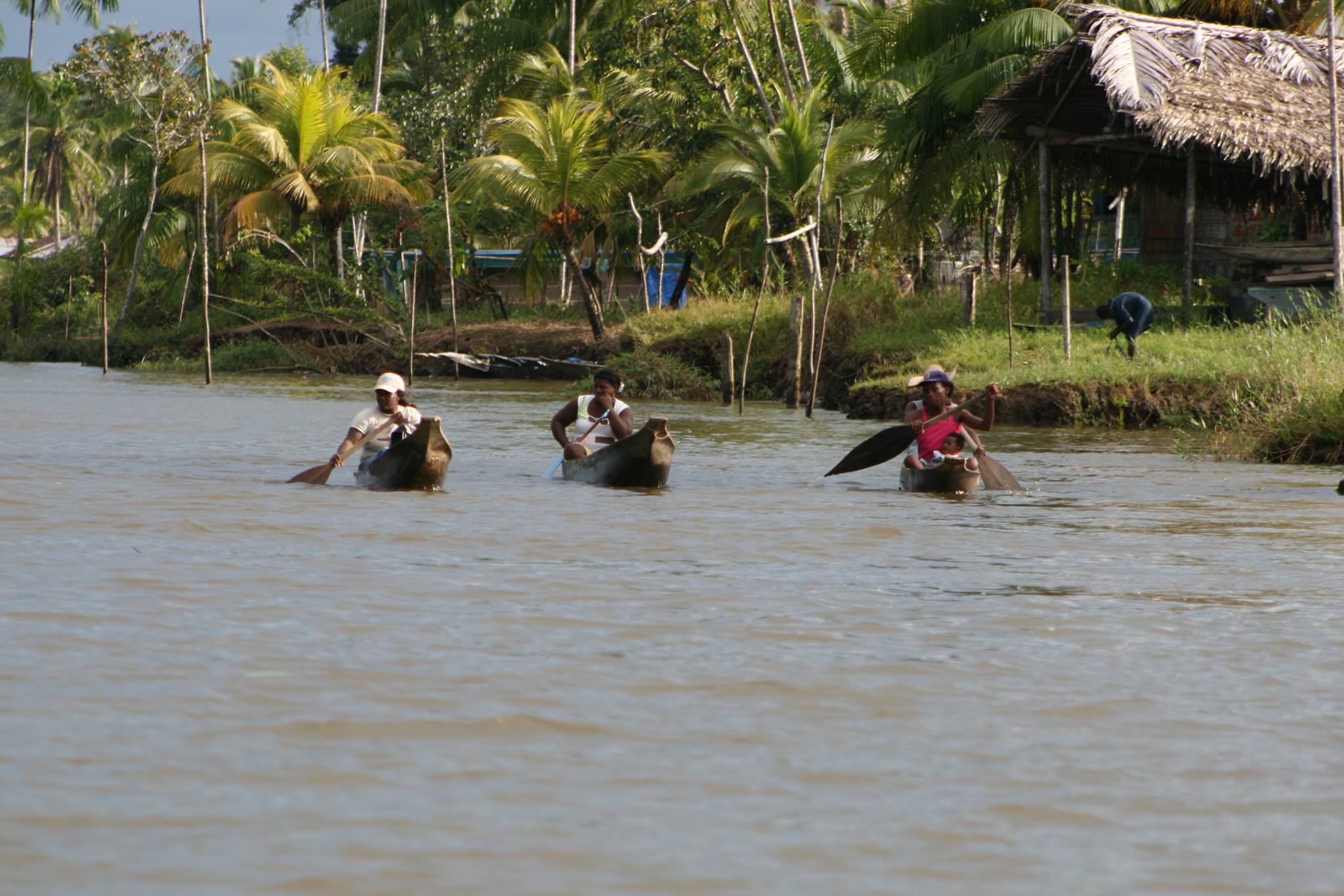 Guapi Guapi 18
